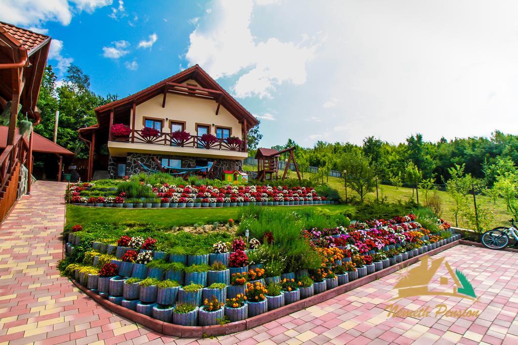 Nemeth Resort Совата Экстерьер фото